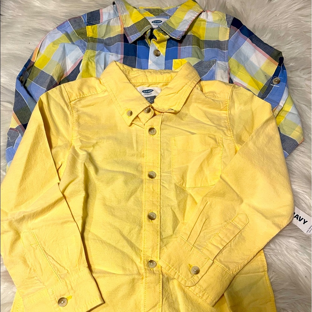 Oxford Button downs